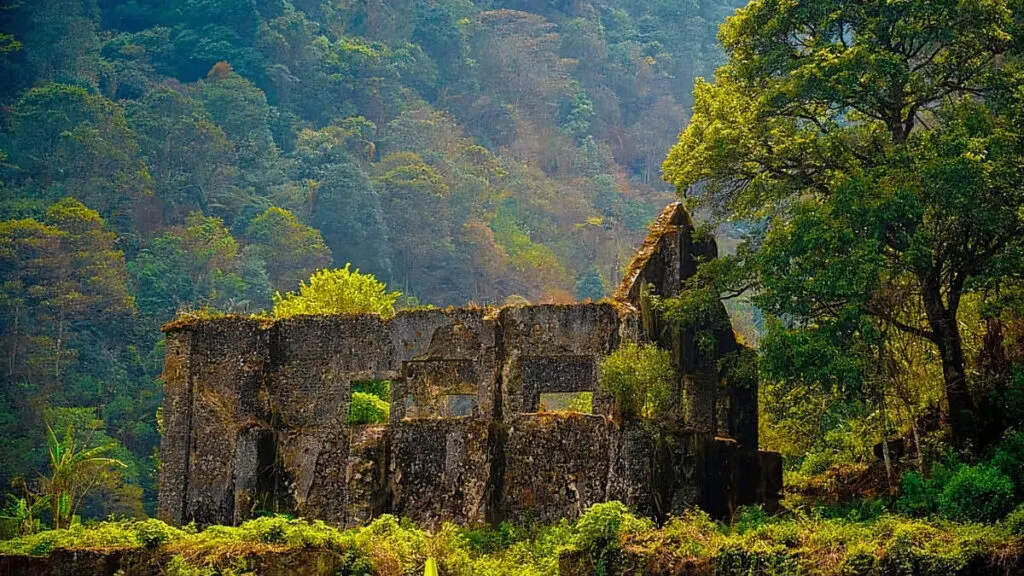Peran Besar Kopi Puntang Bandung Menarik Wisatawan Untuk Rental Mobil