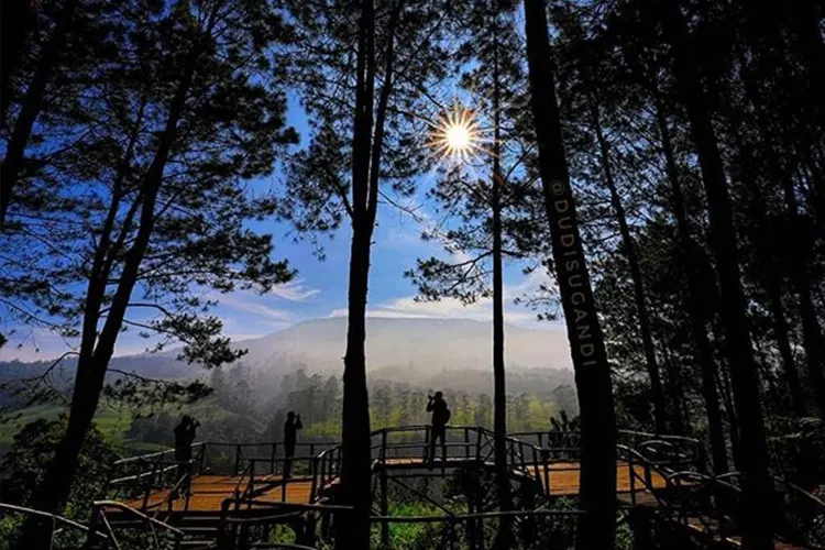 Sewa-Mobil-SUV Terbaik Bandung