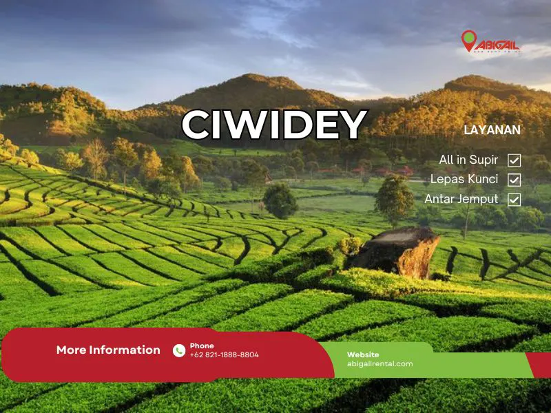 Sewa Mobil Wisata Ciwidey