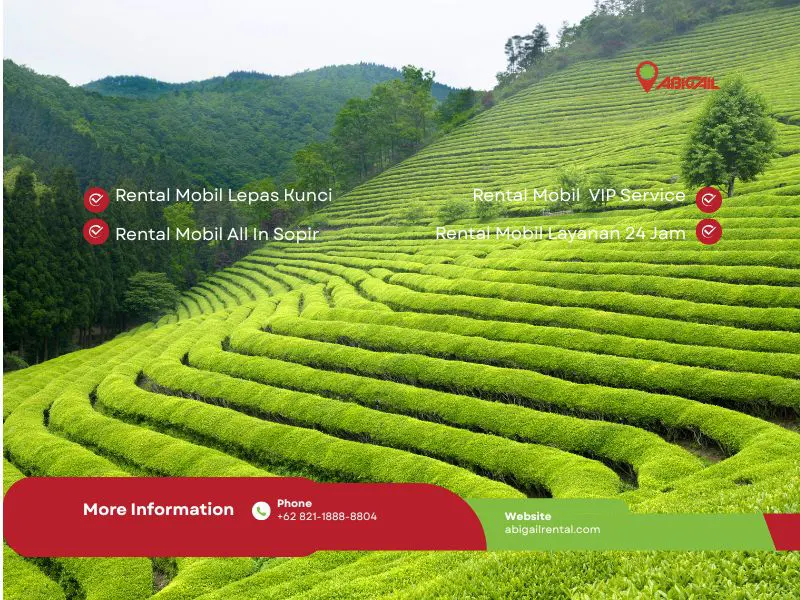 Sewa Mobil Bandung Selatan: Wisata Alam Wayang Windu