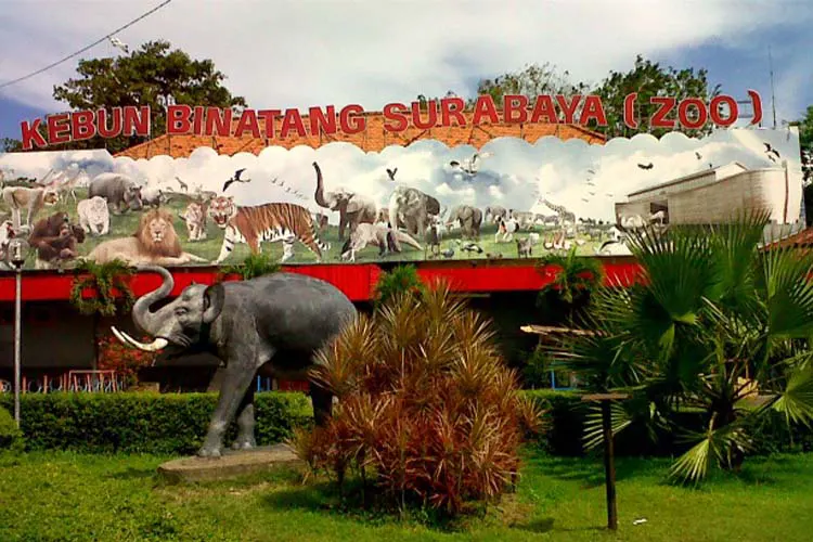 Kebun Binatang Surabaya Rental Mobil