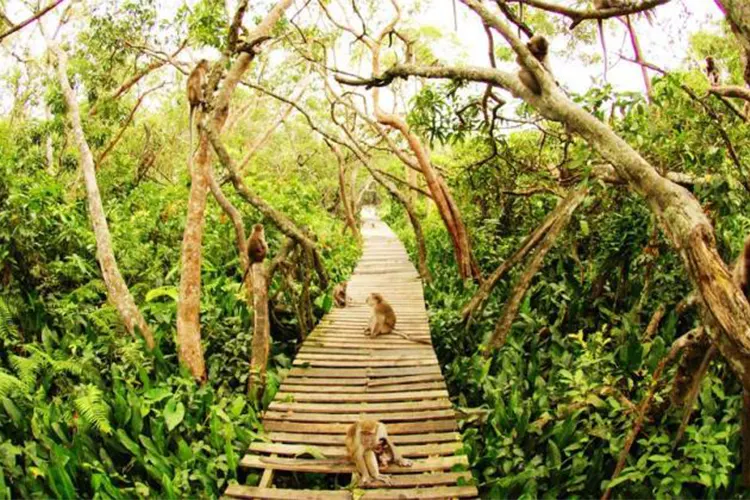 Rental Mobil Banjarmasin ke Pulau Kembang