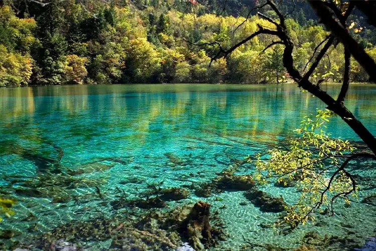 Rental Mobil Jambi ke Danau Kaco Rental Mobil Jambi ke Danau Kaco