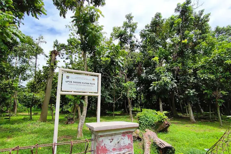 Rental Mobil Depok ke Taman Hutan Raya Pancoran Mas