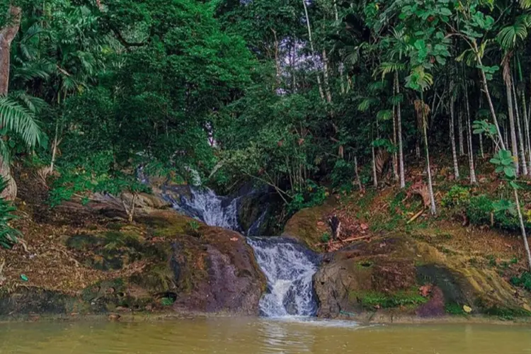 Rental Mobil Samarinda ke Air Terjun Pinang Seribu