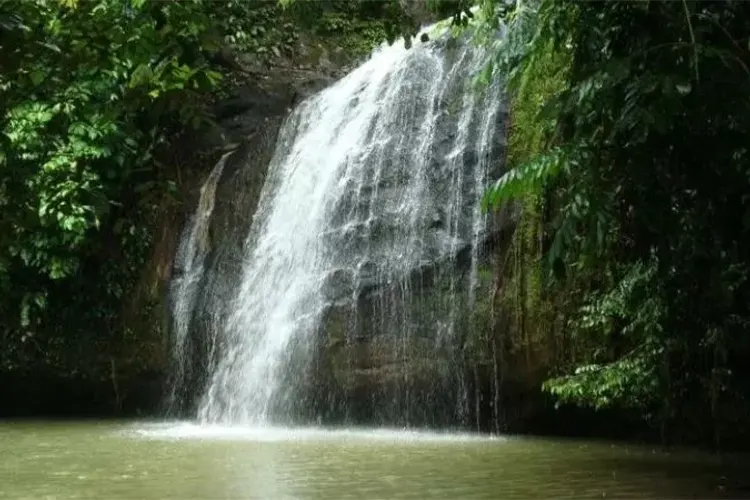 Rental Mobil Samarinda ke Telaga Permai Batu Besaung
